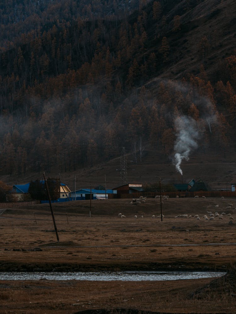 Smoke From The Chimney Of A House