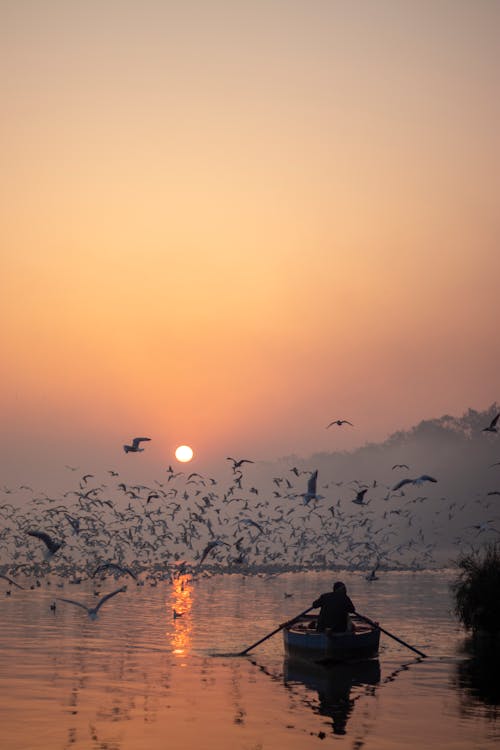 Photos gratuites de ailes, bateau, coucher de soleil