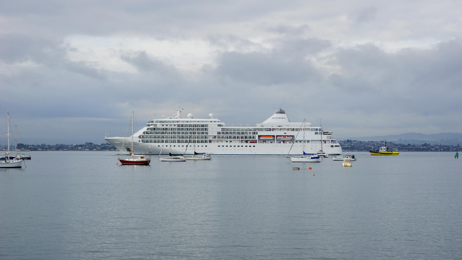 A large luxury cruise ship anchored amidst smaller boats in New Zealand's serene waters.