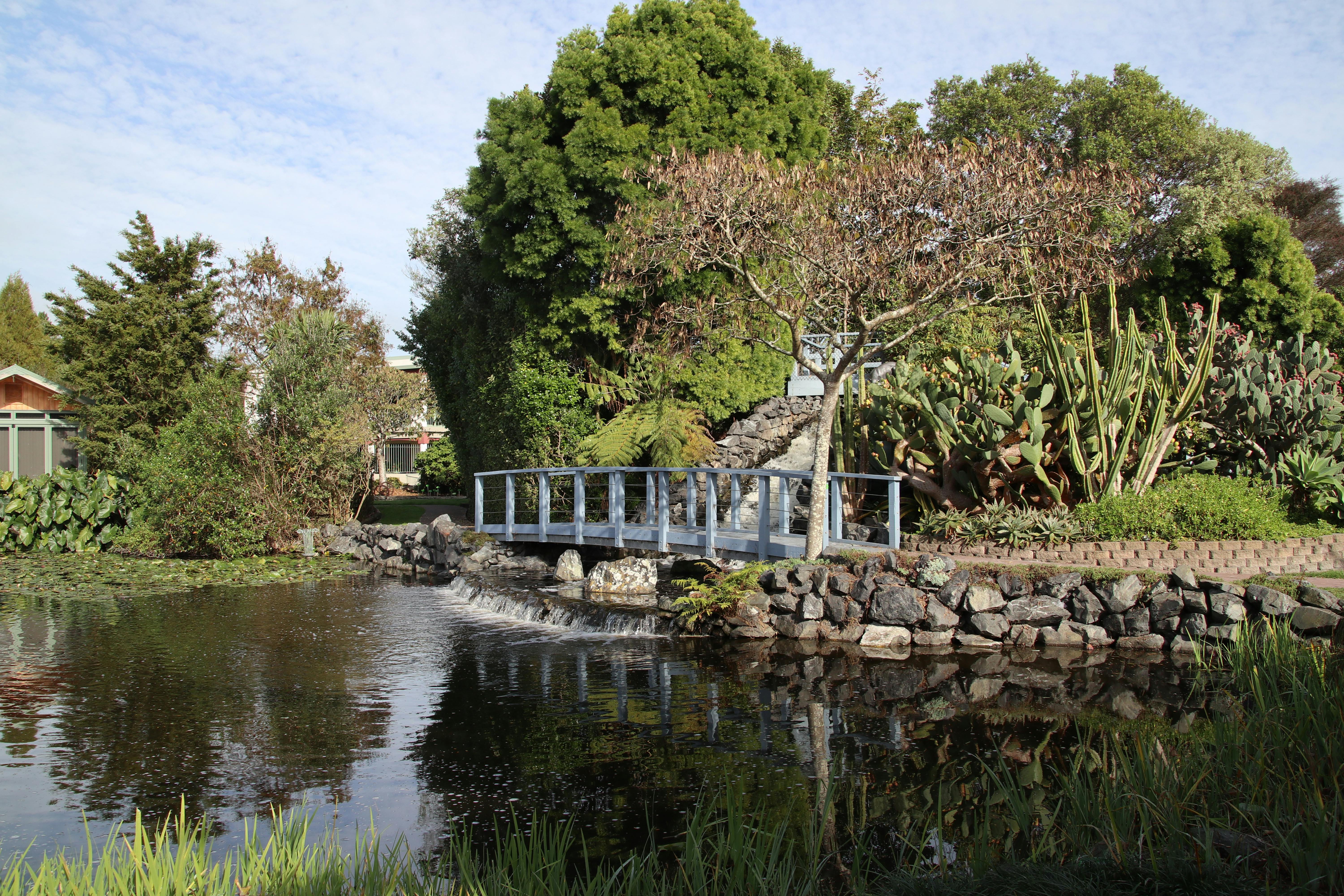Free stock photo of garden, nature, Ngatea Water Gardens