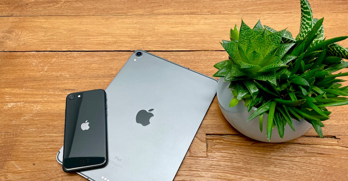 What does do not disturb mean on iPhone XR
