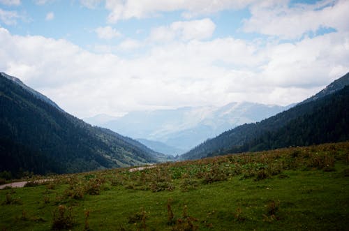 Immagine gratuita di erba, nuvole, pendii montani