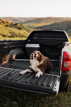 A happy dog lounging in a truck bed amidst tranquil hillside scenery, under a clear sky.