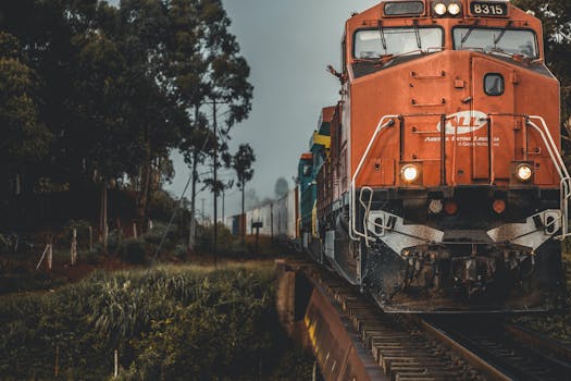A freight train travels through a lush forest, crossing an elevated railway bridge.