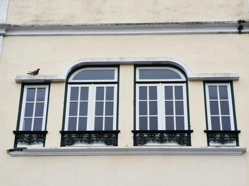 Free Close-up of a classic building exterior featuring ornate windows and a resting pigeon. Stock Photo