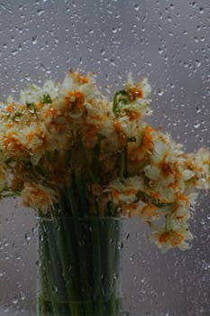 A close-up view of daffodils in a glass vase through a raindrop-covered window.