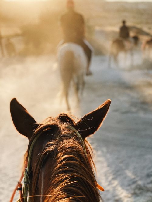 Free Experience the tranquility of horseback riding on a dusty path at sunset in Turkey. Stock Photo
