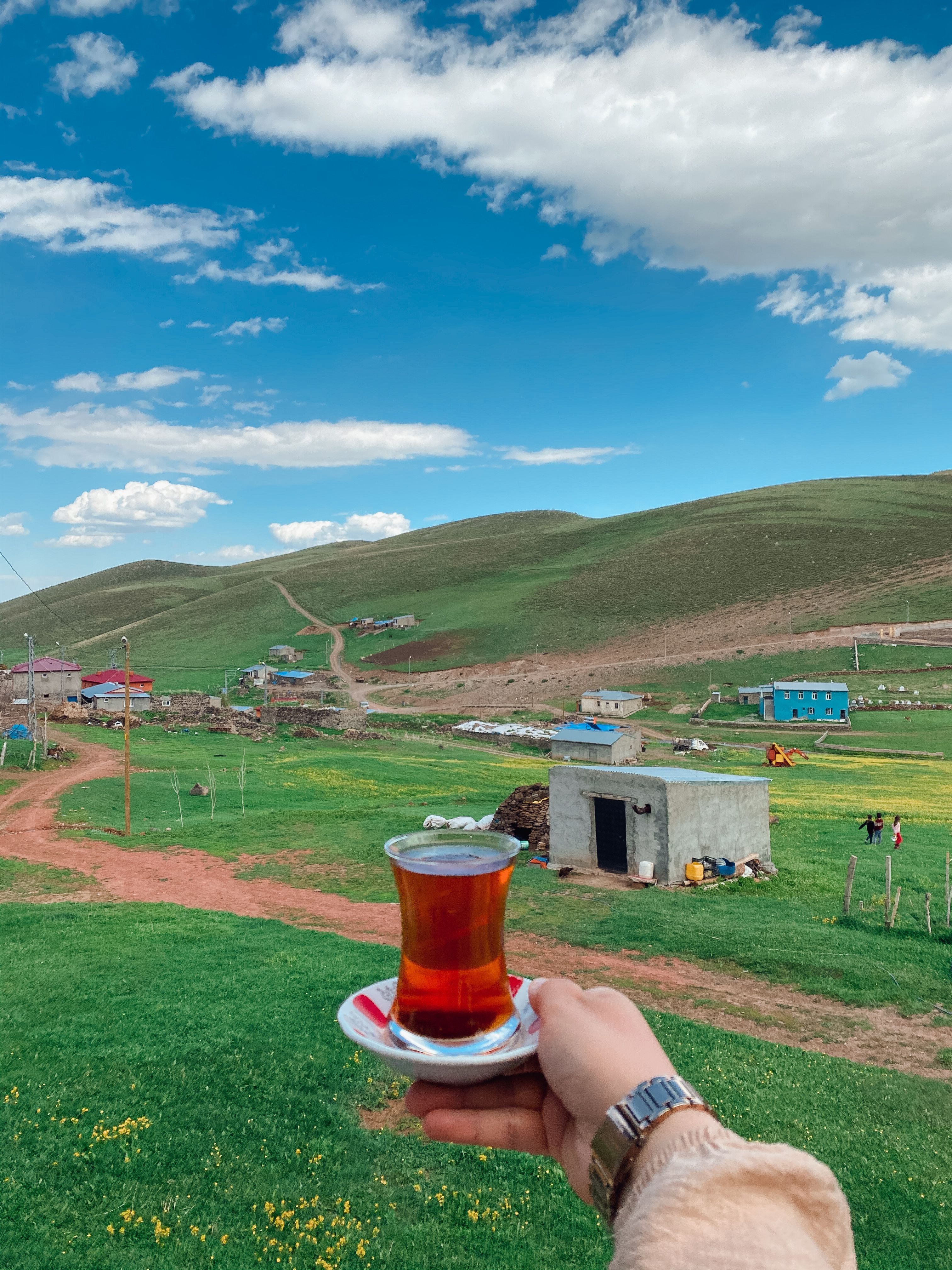 Scenic countryside landscape with hand holding a glass of tea.