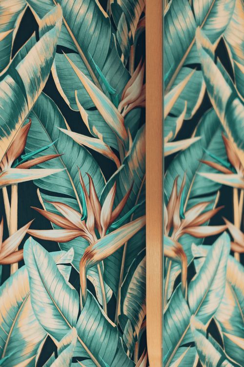 Free Vibrant bird of paradise floral art adding a tropical touch to interiors. Stock Photo
