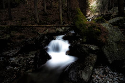 一条宁静的森林溪流流过苔藓覆盖的岩石，通过长时间曝光拍摄，营造出静谧的场景