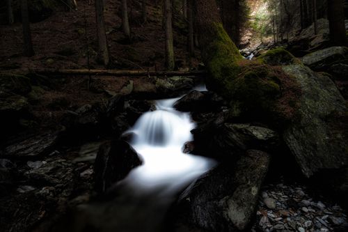 Free A peaceful forest stream flows over mossy rocks, captured with long exposure, creating a tranquil scene. Stock Photo