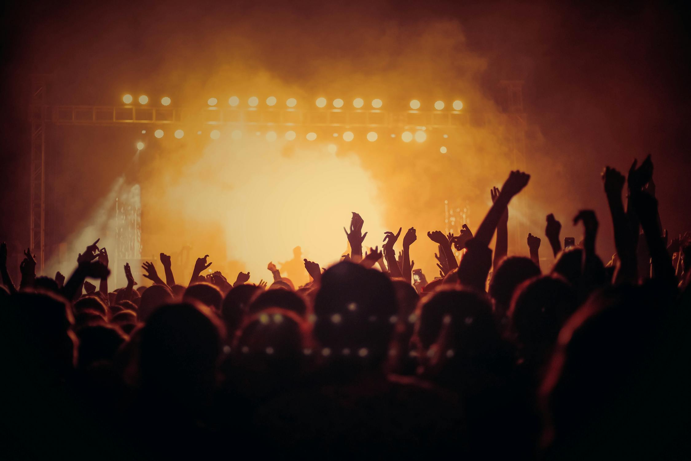 Image of a lively crowd facing the stage at a concert 