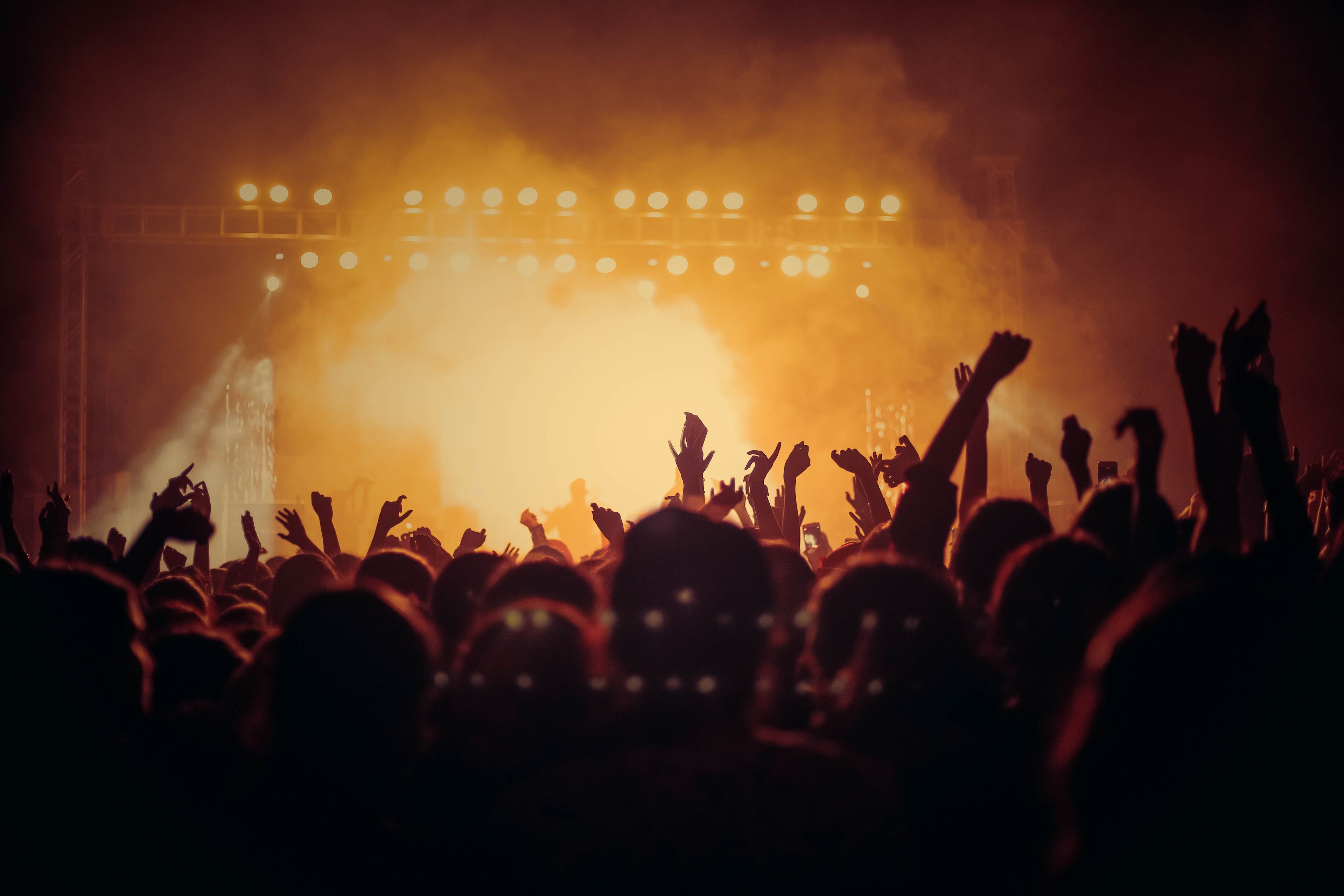 Live concert crowd with stage lights