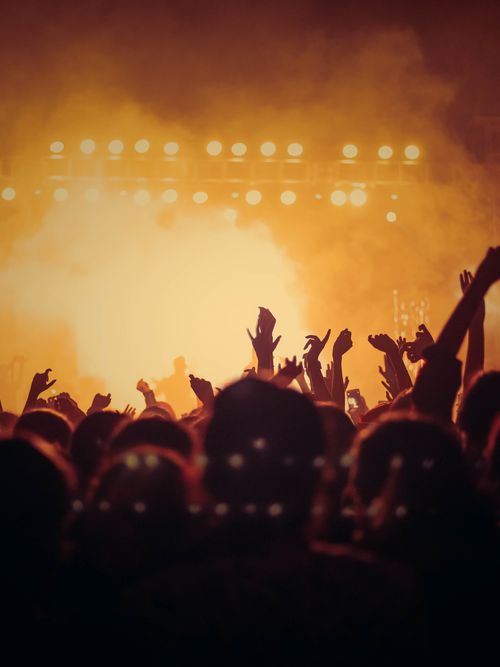 Concert crowd