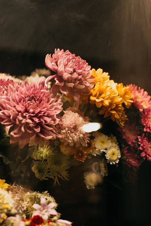 Free Close-up of a colorful chrysanthemum bouquet captured in warm lighting, showcasing vivid petals. Stock Photo