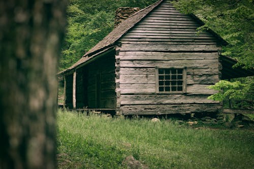 Free Brown Wooden House in Forest Stock Photo