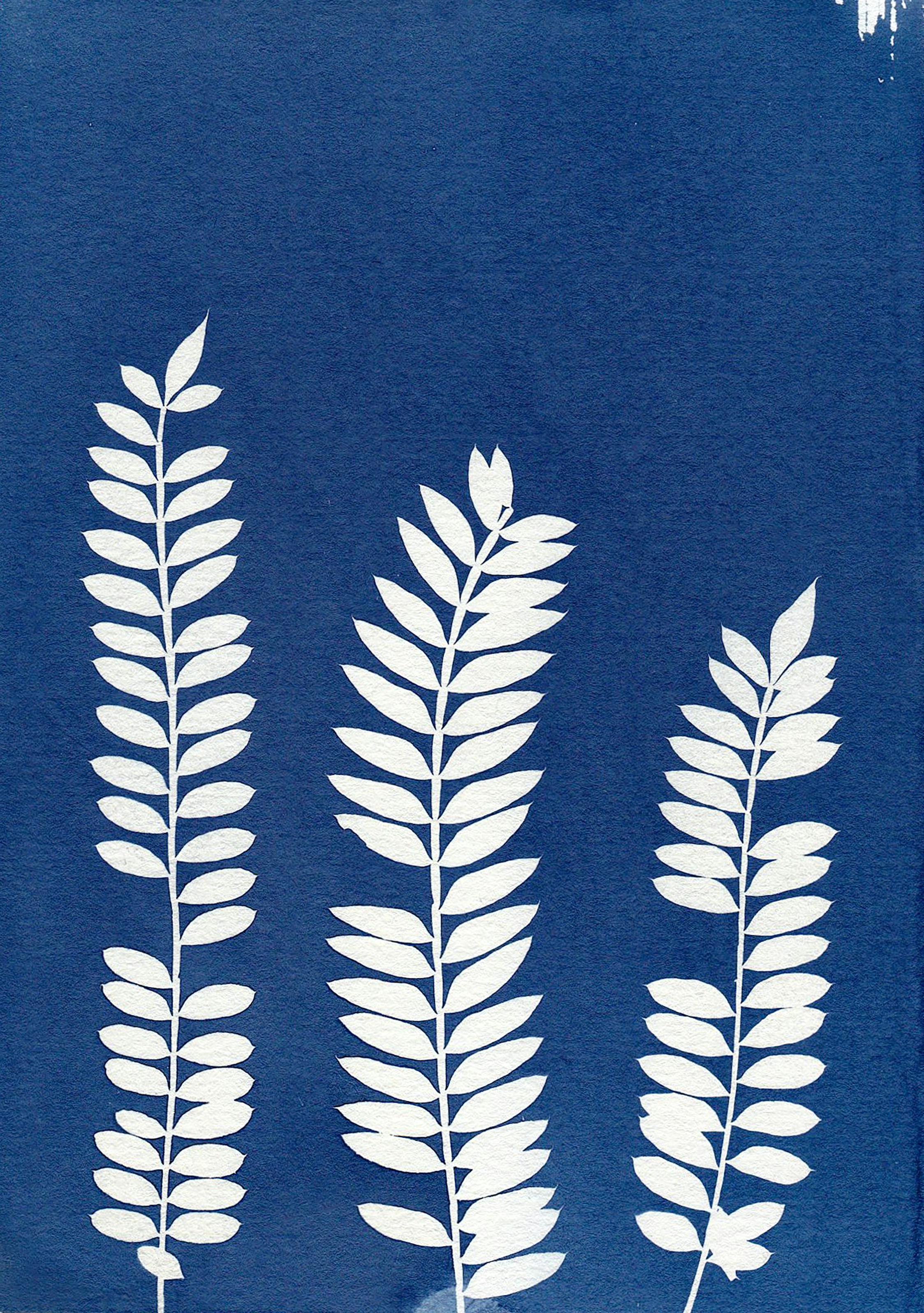 Artistic cyanotype of white leaves on a rich blue background, blending nature and creativity.