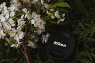 樱花特写搭配尼康镜头盖，捕捉自然与科技的融合