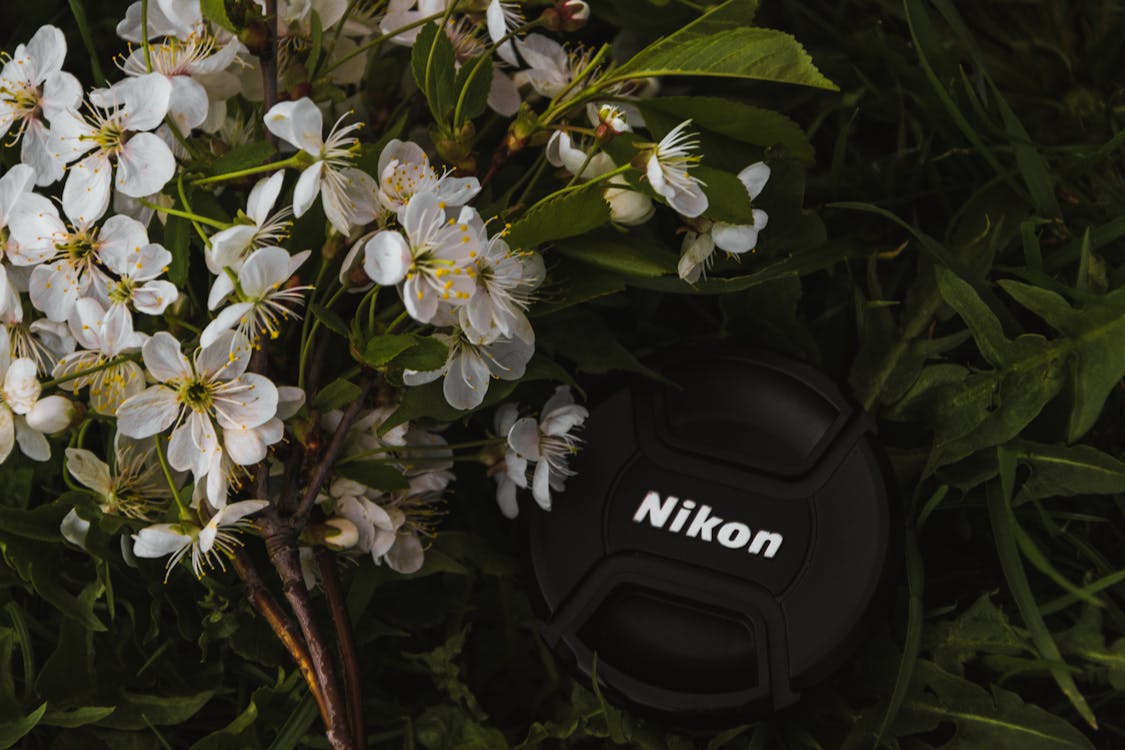 Black Nikon Dslr Camera Lens Cover Near White Petaled Flowers