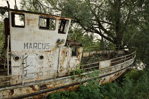 Foto profissional grátis de abandonado, árvore, barco