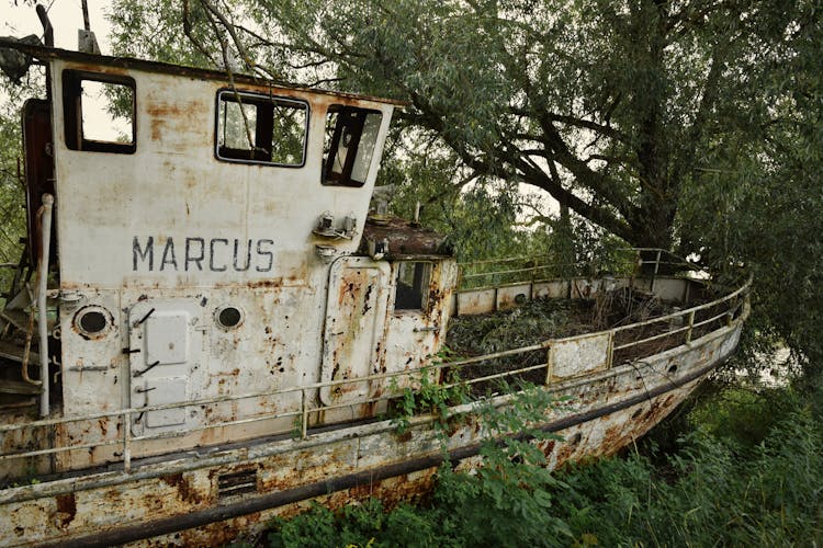 An Abandoned Boat In The Forest