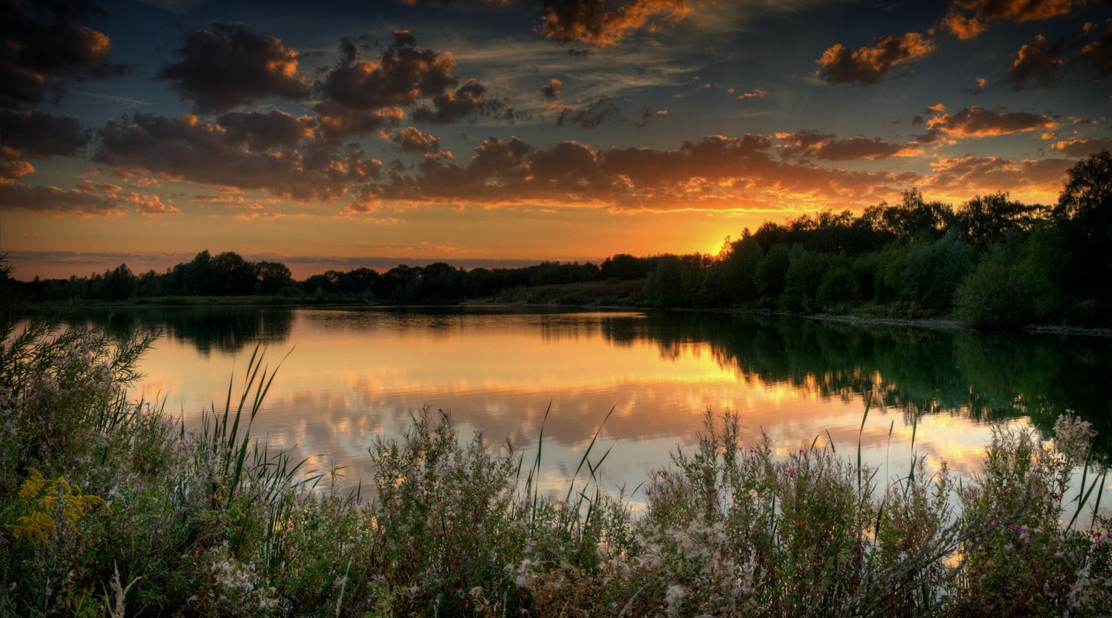 Calm water at dusk — the regulated nervous system