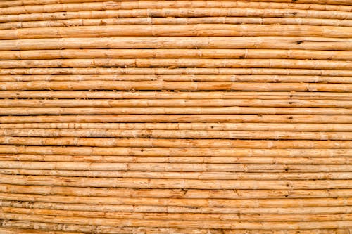 Kostnadsfria Kostnadsfri bild av abstrakt, bambu, naturligt mönster Stock foto
