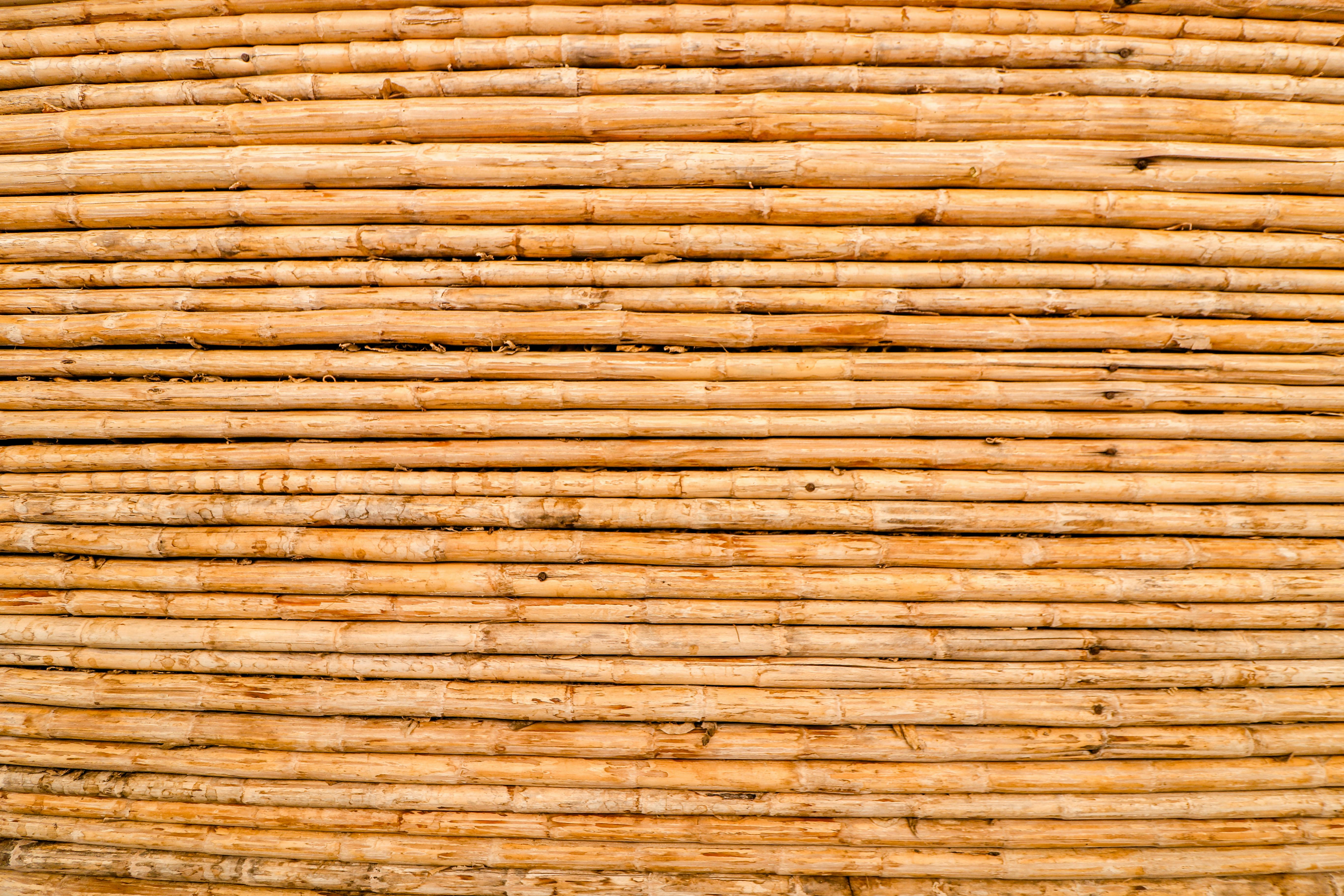 Bamboo Wall Texture High Res (Wood)