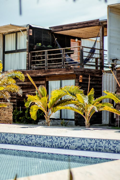 Palm Trees Growing by Poolside