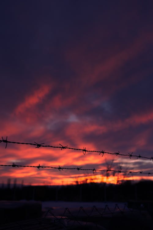 Silhouette of Barbed Wires Fence 