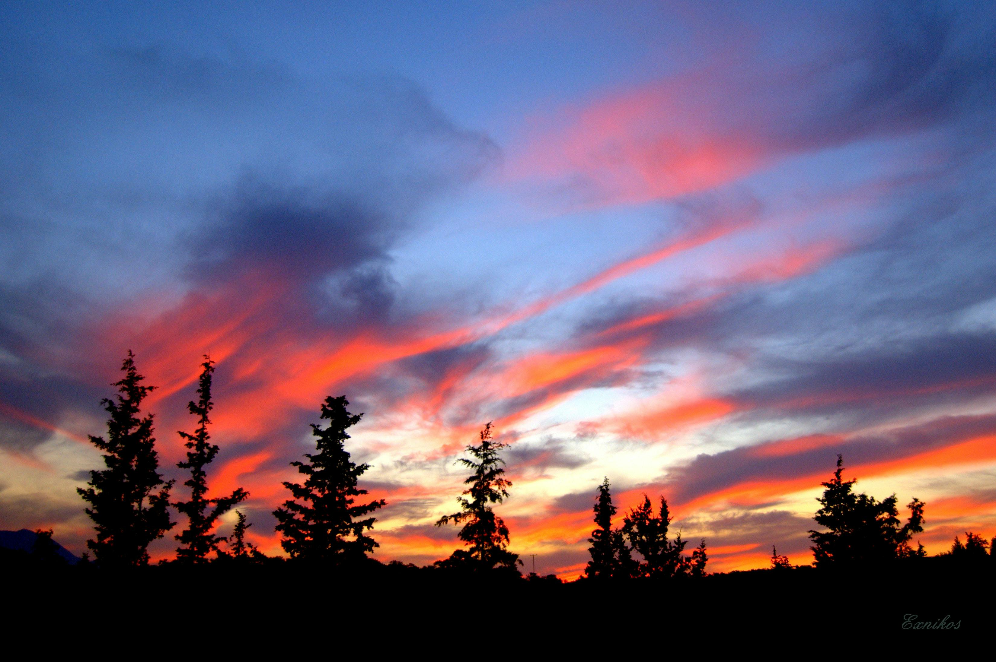 기아 쏘렌토 장기렌트