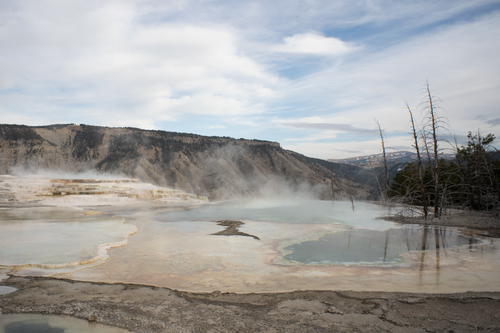 Free Scenic view of steaming hot springs and terraces at Yellowstone National Park under a cloudy sky. Stock Photo