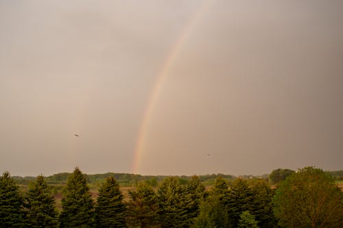 Free stock photo of rainbow, sky