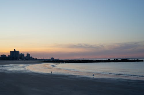 Seagulls on the Beach 