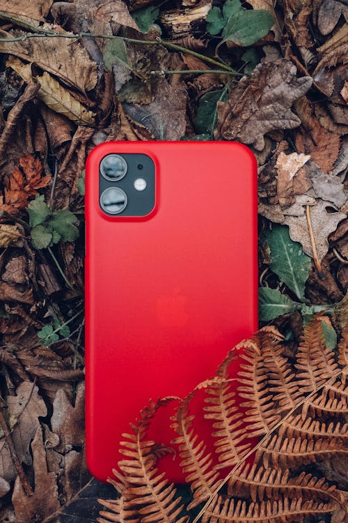 Free Red Smartphone on Brown Leaves Stock Photo