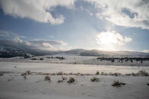 免費 下雪的, 冬季, 冷 的 免費圖庫相片 圖庫相片