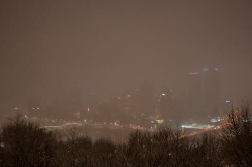 Free stock photo of city, fog, night