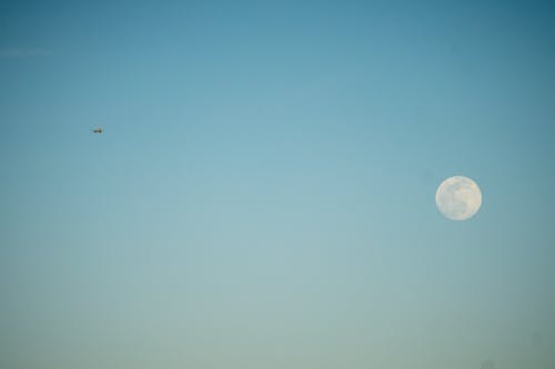 Free stock photo of moon, plane, sky