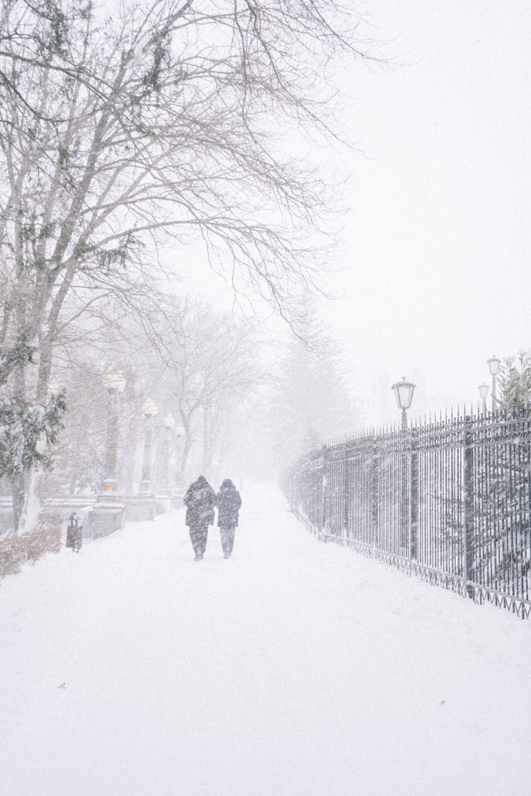 Couple Walking In Falling Snow