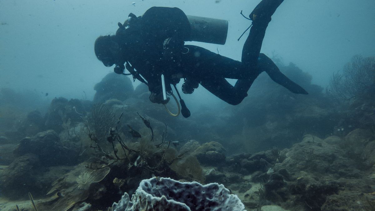 Plongée sous-marine