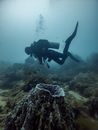 Scuba Diver Floating Above Volcano Shaped Coral Structure 