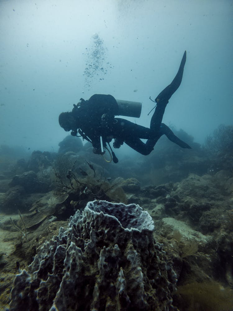 Scuba Diver Floating Above Volcano Shaped Coral Structure 