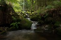 Free stock photo of beautiful nature, cascade, creek