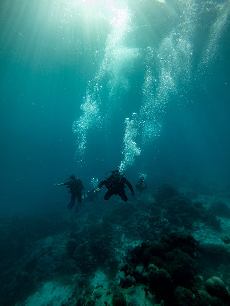 Group Of Scuba Divers Diving In Blue Ocean Depth