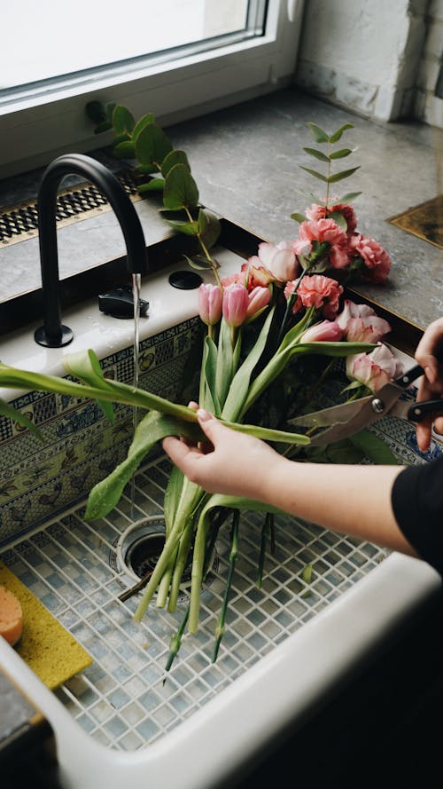 Gratis arkivbilde med arm, blad, blomst