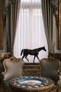 Elegant Historic Interior