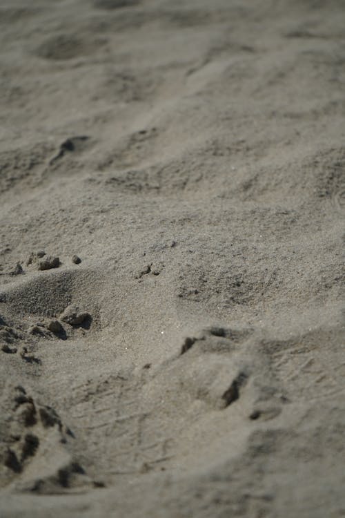 Close-Up Shot of Beach Sand