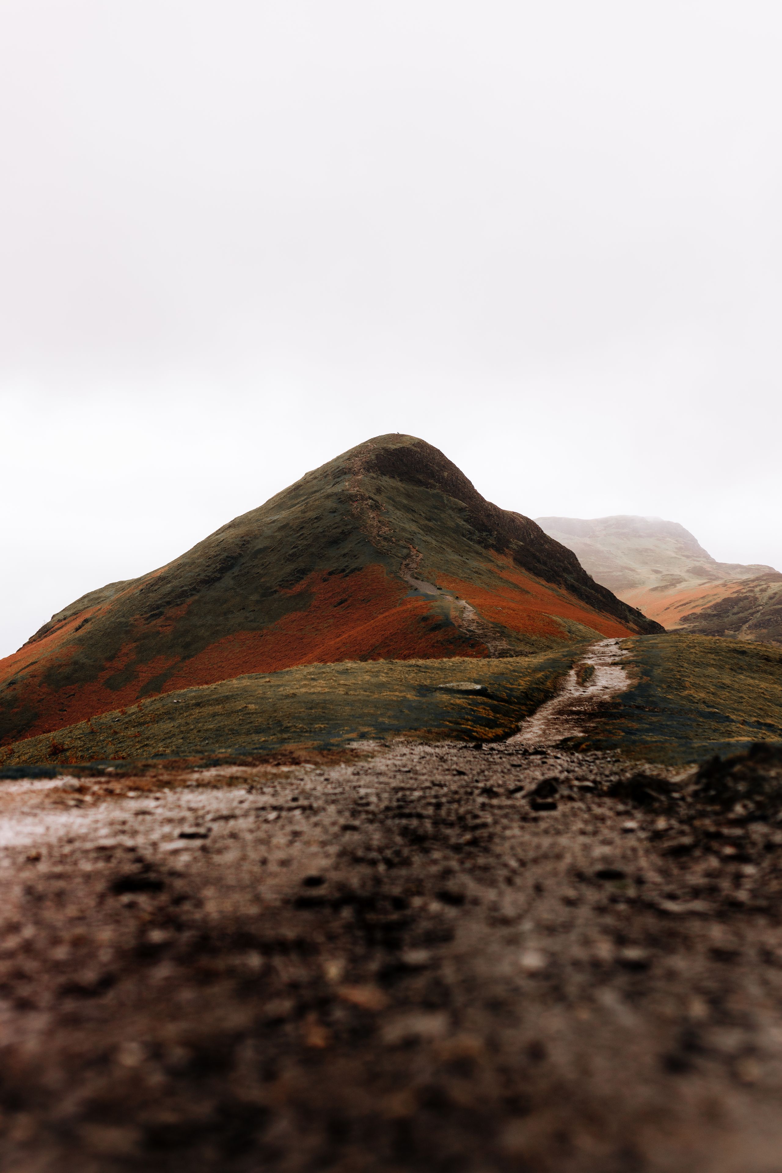 Path leading to a tranquil m