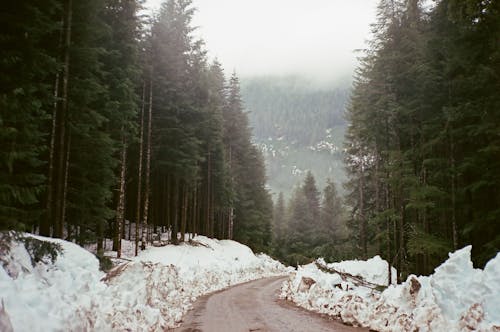 Free stock photo of 35mm film, heavy snow, hiking