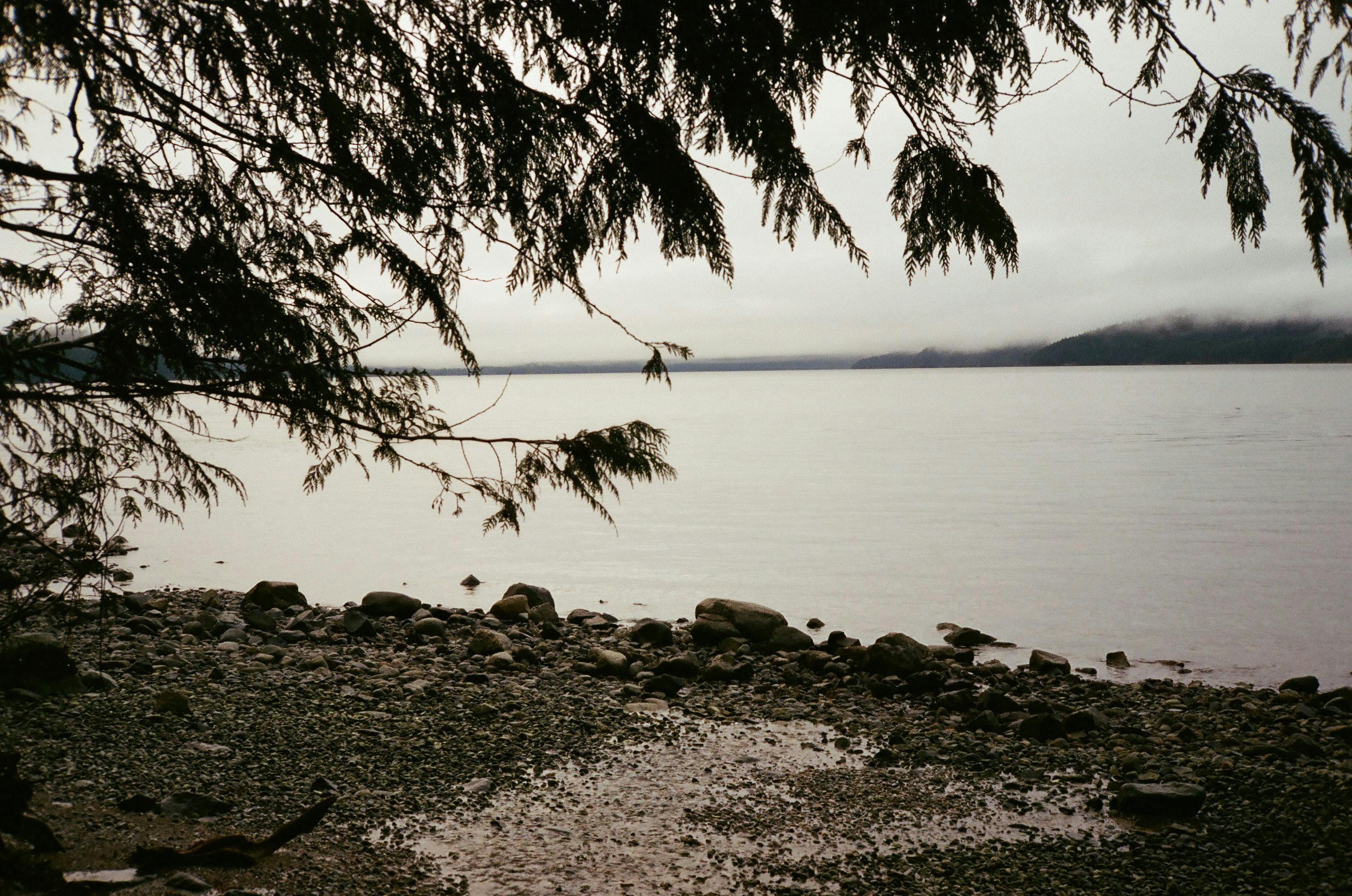 Tranquil view of a rocky lakeshore with overcast skies and tree silhouettes, evoking serenity and calm.